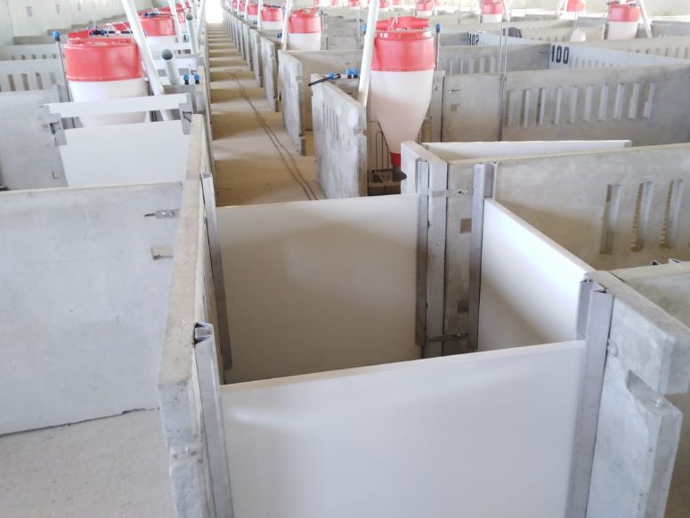 Detalle separadores interior granja prefabricada de hormigón para cerdos de engorde